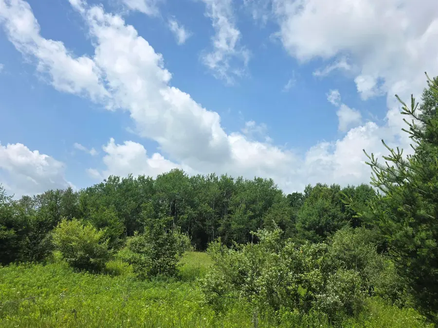 00 Sage Lake, Lupton, MI 48635 - #2