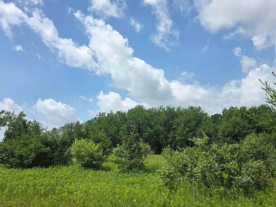 00 Sage Lake, Lupton, MI 48635 - #3