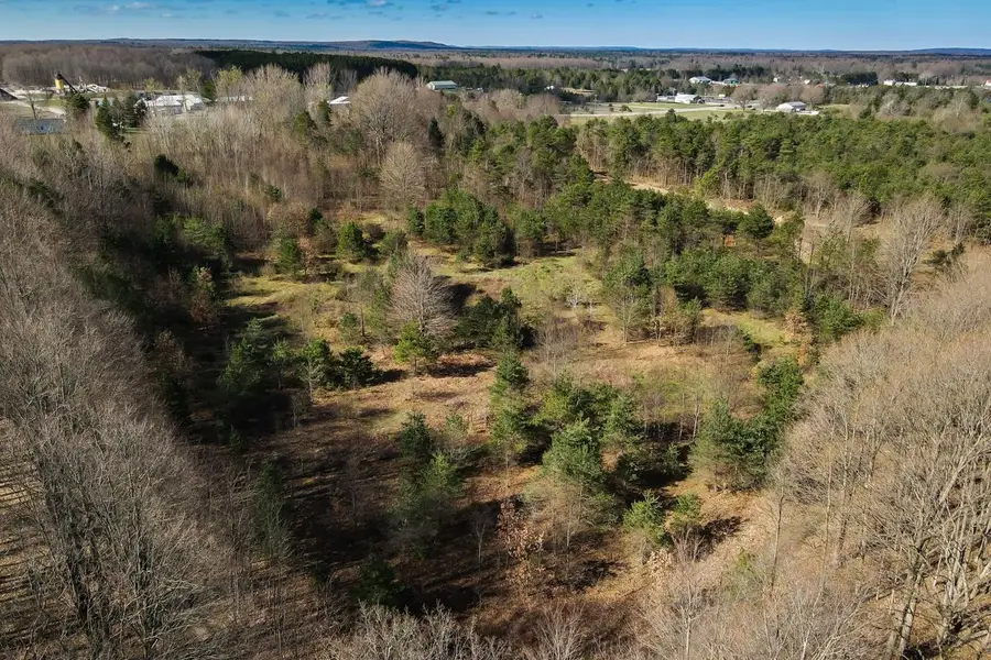 V/L Honor, Interlochen, MI 49643 - #3
