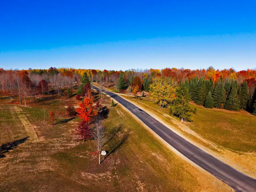 10601 SW Pine Ridge, Fife Lake, MI 49633 - #2
