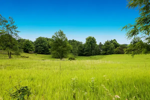 90 Cross Country, Traverse City, MI 49696