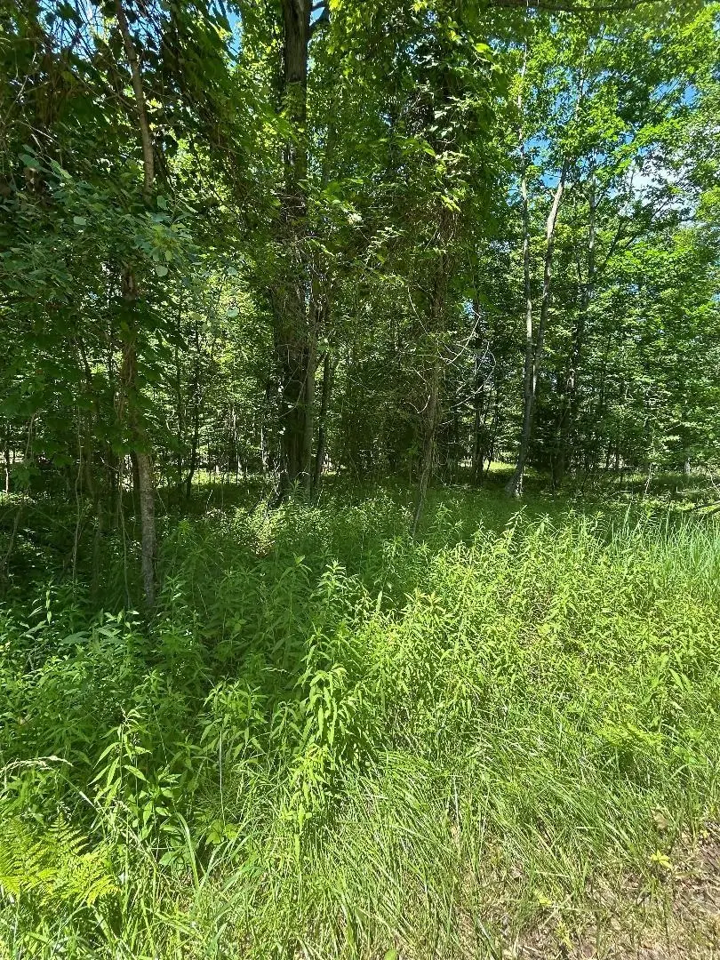 S Point Lookout, Au Gres, MI 48703 - #1