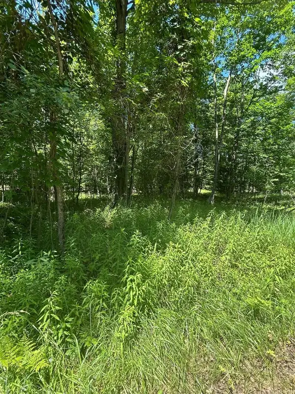 S Point Lookout, Au Gres, MI 48703