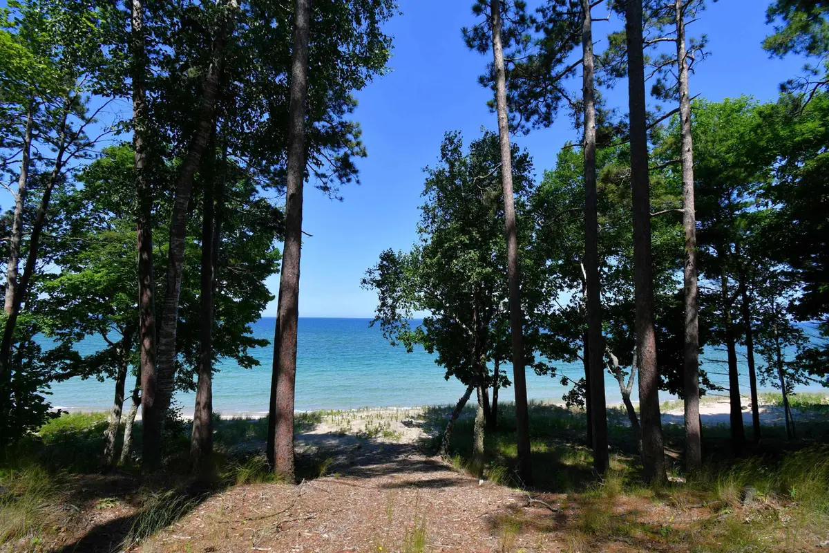0000 Mt Mcsauba, Charlevoix, MI 49720 - #1