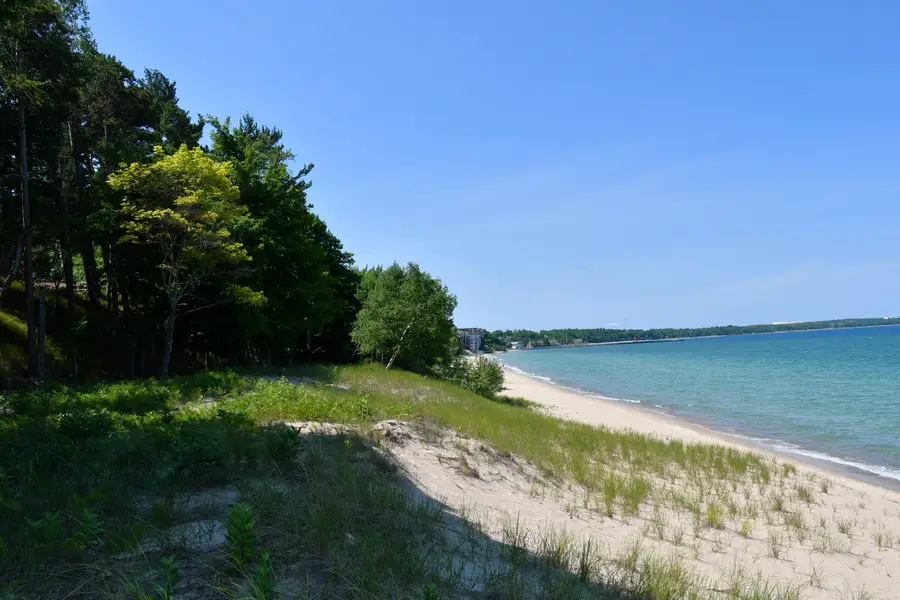 0000 Mt Mcsauba, Charlevoix, MI 49720 - #3