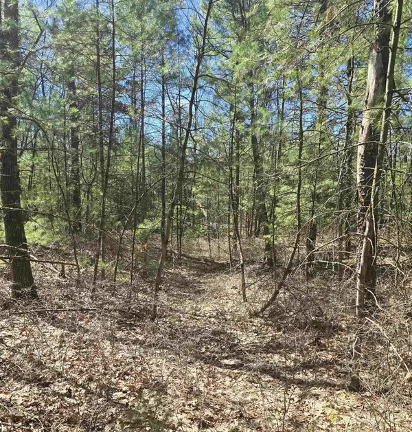 4699 Johnson, Oscoda, MI 48750