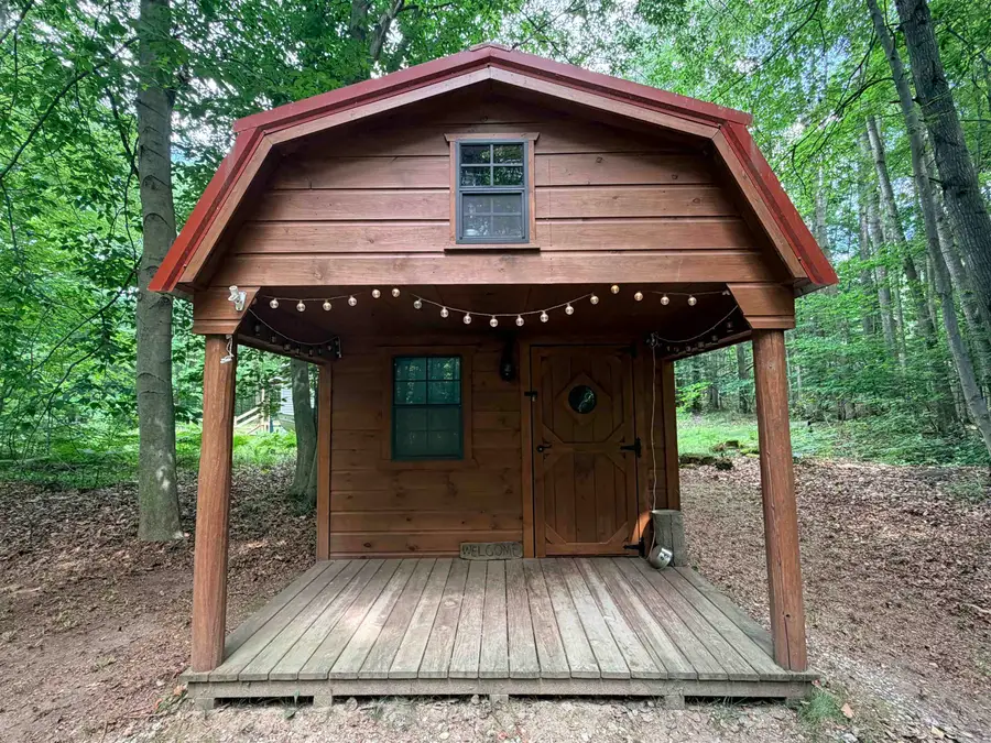 113 Hills, Leroy, MI 49655 - #2