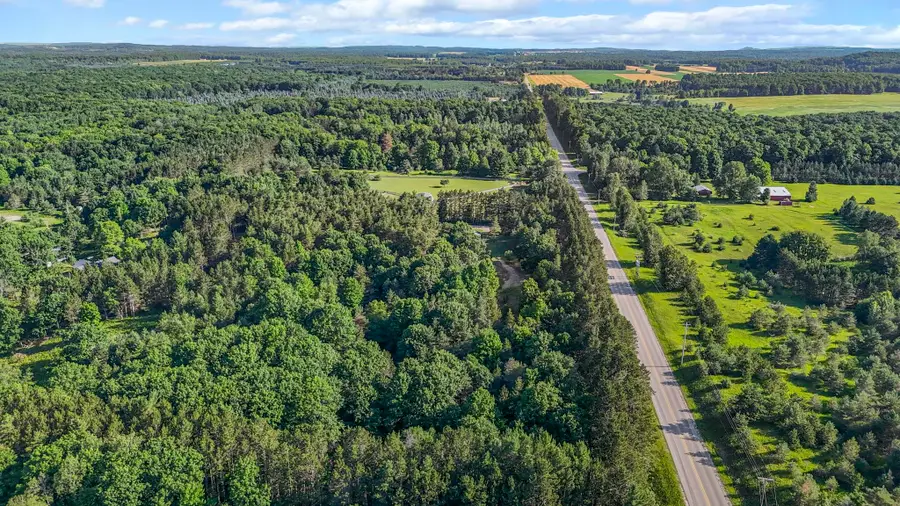 16963 Parcel B Gray Heirs, Almira, MI 49650 - #3