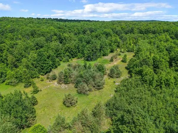 6320 N Morey, Lake City, MI 49651