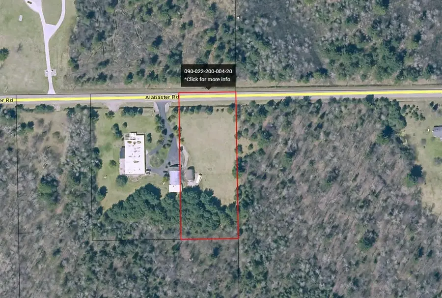 4395 Alabaster, Turner, MI 48765 - #2