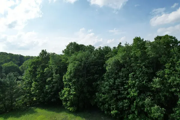 33 W 20, Mesick, MI 49668