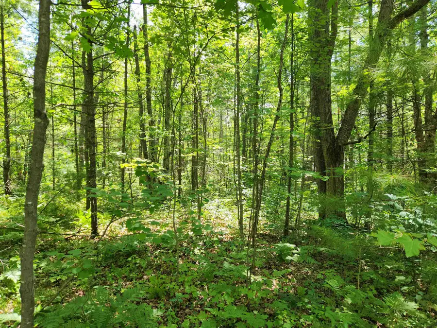 000 Bradley, Kalkaska, MI 49646 - #2