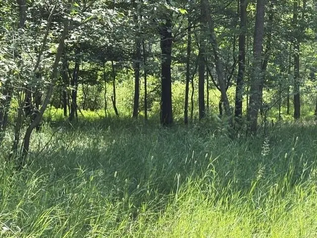 61 Rolling Hills, West Branch, MI 48661 - #3