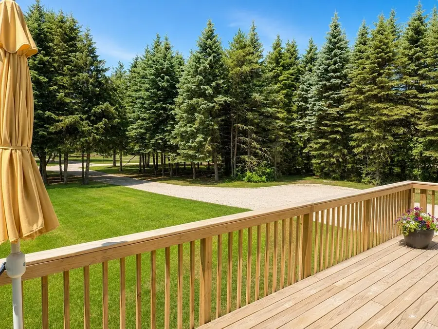 1401 Ryans Pond, Grawn, MI 49637 - #2