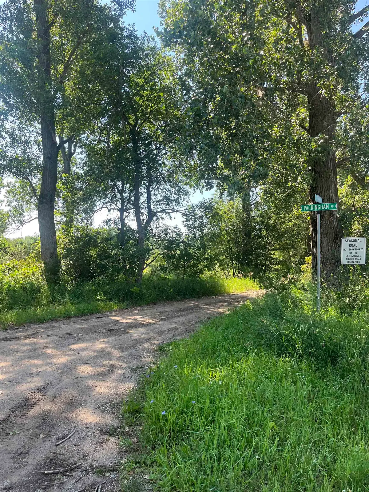 Packingham, Manton, MI 49663 - #1