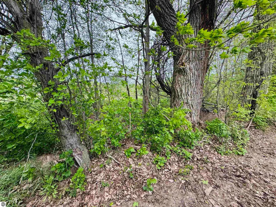 Packingham, Manton, MI 49663 - #2