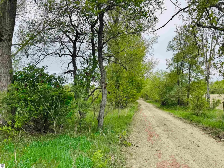 Packingham, Manton, MI 49663 - #3