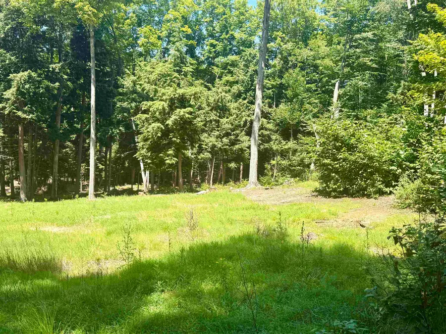 1364 E Maplewing, Cedar, MI 49621 - #2