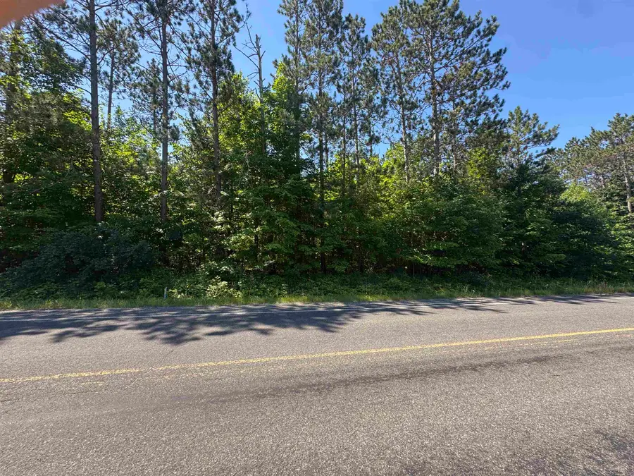 Ingersoll Road Sw, Fife Lake, MI 49633 - #2