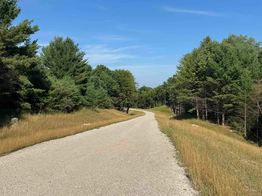 Lot #3 E Bellinger, Cedar, MI 49621 - #2