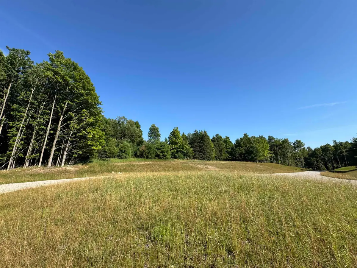 Lot #6 E Bellinger, Cedar, MI 49621 - #1