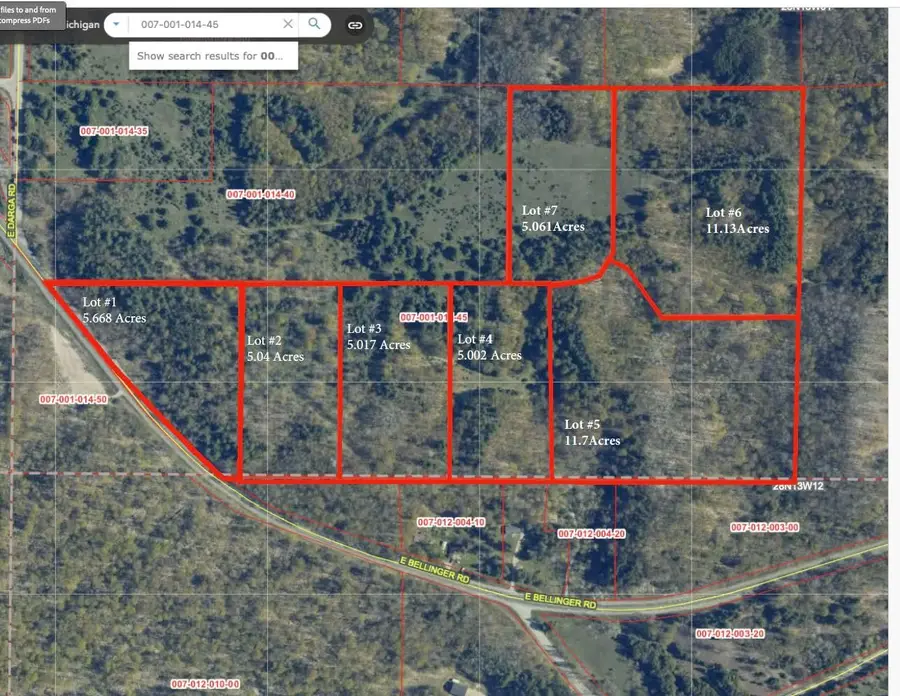 Lot #6 E Bellinger, Cedar, MI 49621 - #2