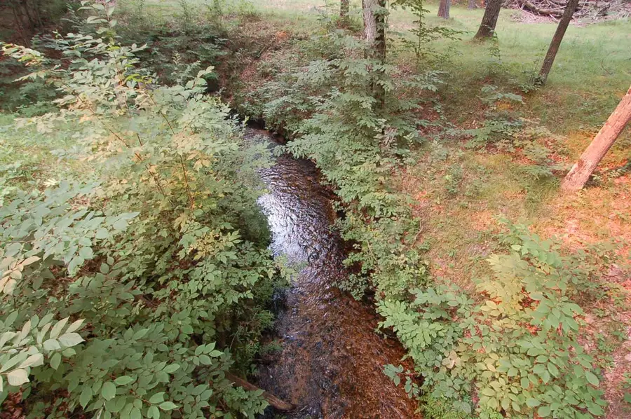 930 Seaton Creek, Mesick, MI 49668 - #3