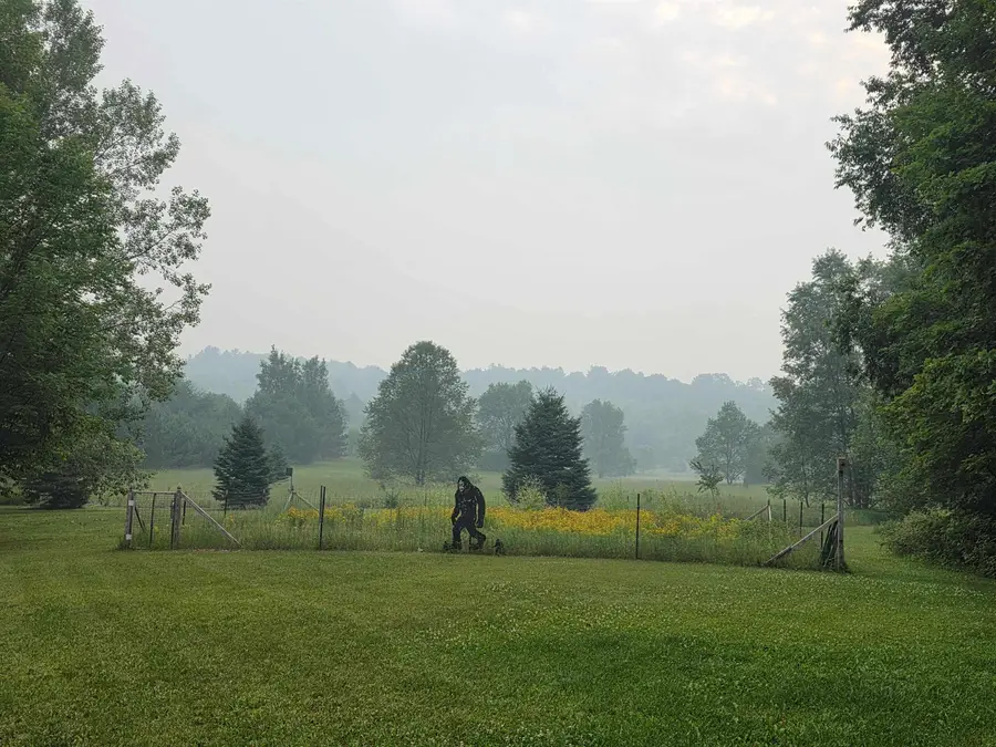 9489 SW Puffer #Lot: Parcel, South Boardman, MI 49680 - #2