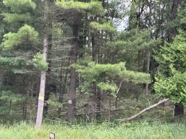 0 Wilber, East Tawas, MI 48730 - #3