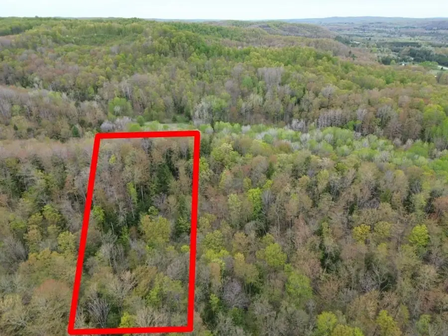 VL Brookwood, East Jordan, MI 49727 - #2