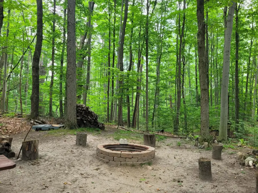 257 W Forest, Leroy, MI 49655 - #3