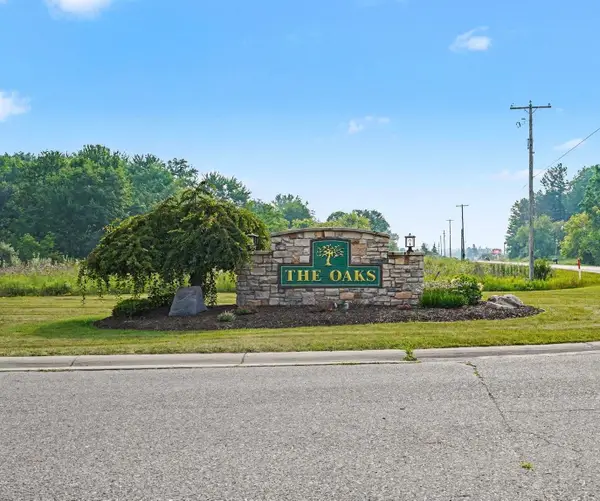 TBD Buckthorn, Mount Pleasant, MI 48858