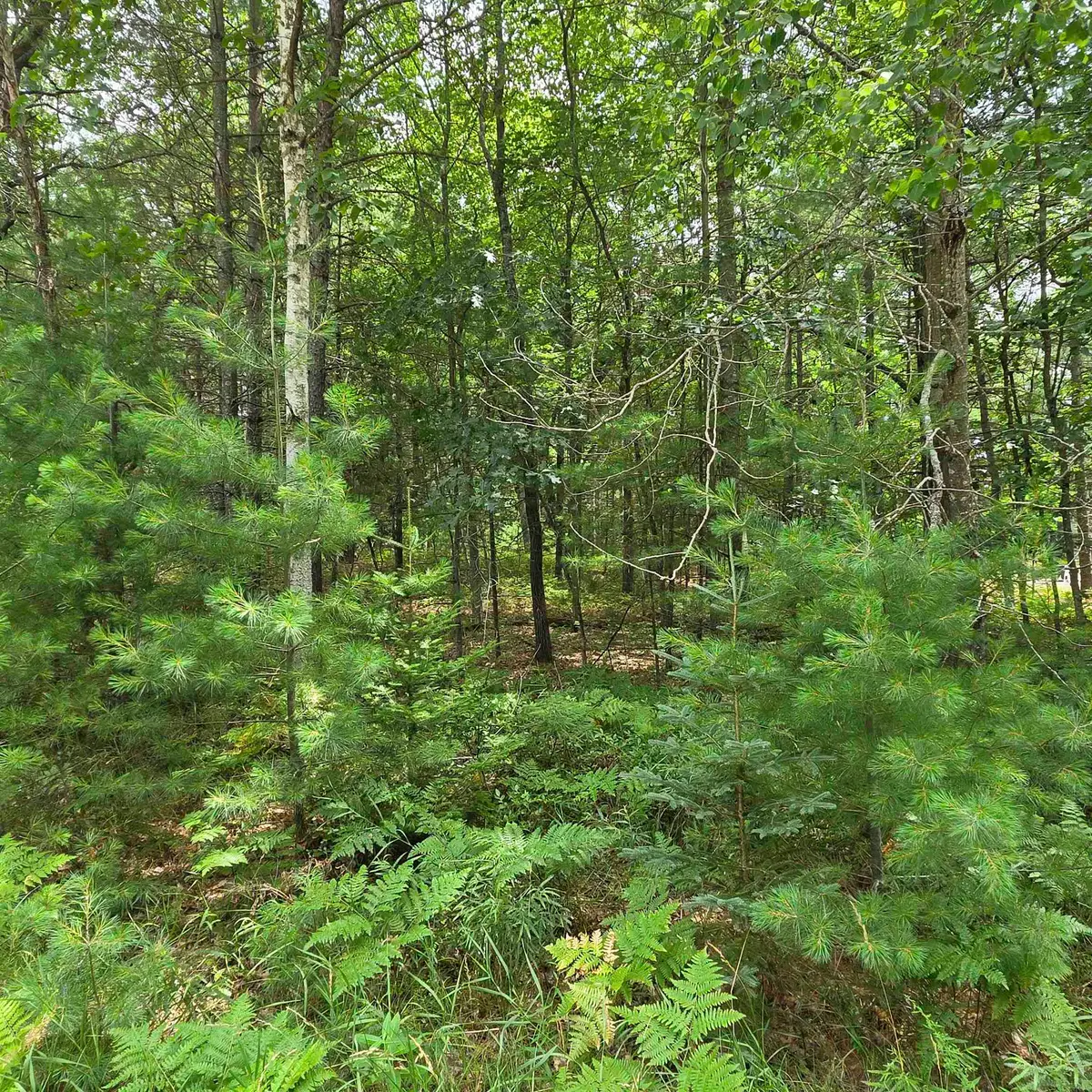 Lakewood, Oscoda, MI 48750 - #1