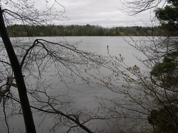 1589 Edgewater, Traverse City, MI 49684