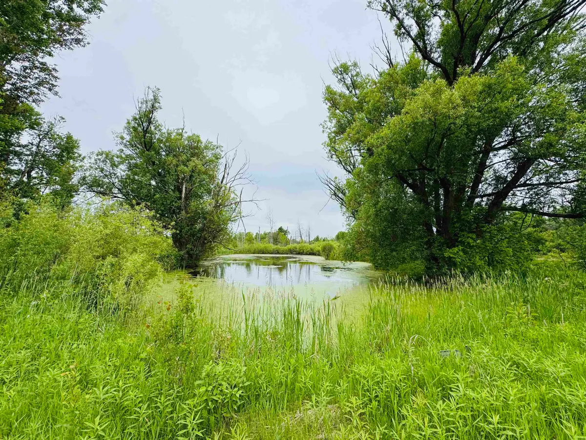E 12 3/4, Manton, MI 49663 - #1