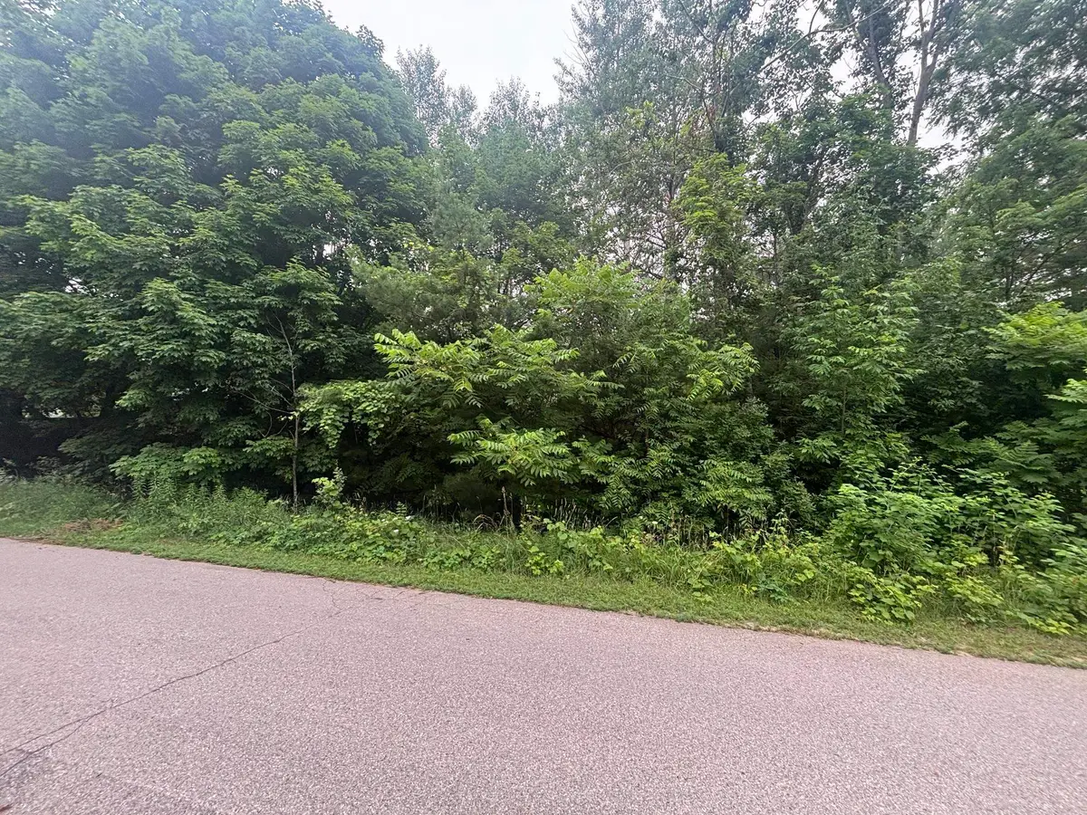 605 Elm, Elk Rapids, MI 49629 - #1