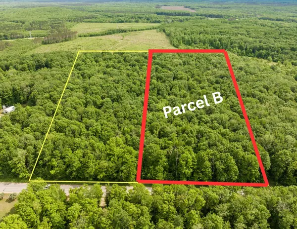 Parcel B Mancelona, Mancelona, MI 49659
