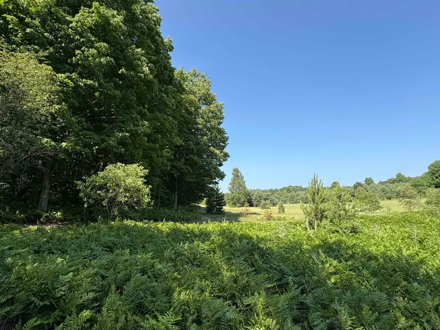 50 Acres SE Campbell, Fife Lake, MI 49633 - #2