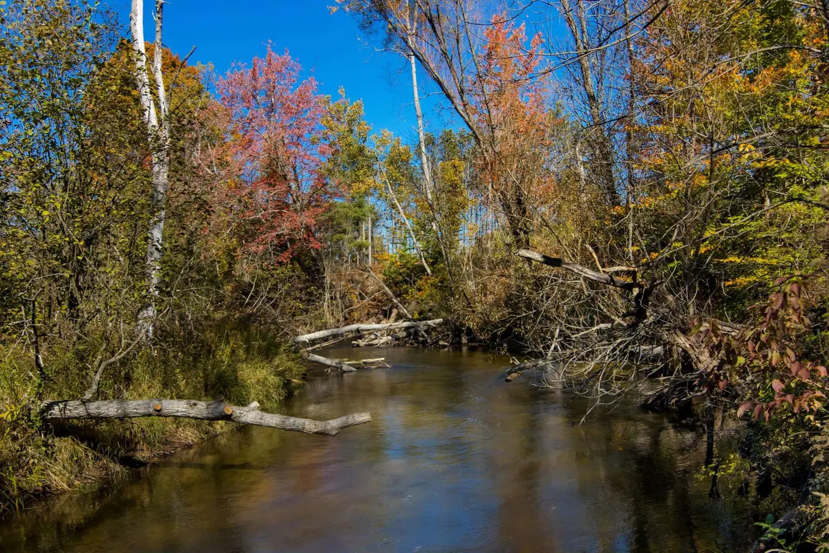 Parcels A Wild River, Thompsonville, MI 49683 - #1
