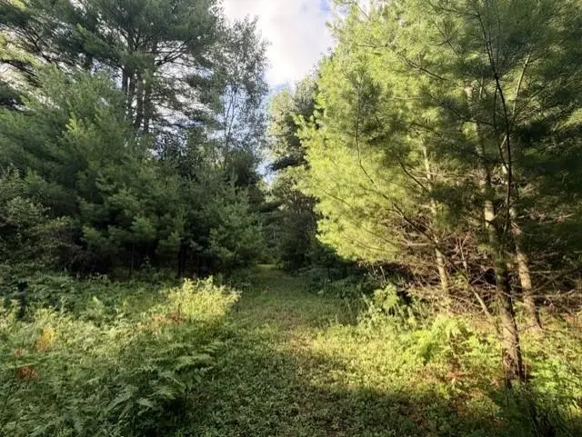 00 Timreck, Tawas City, MI 48763 - #1