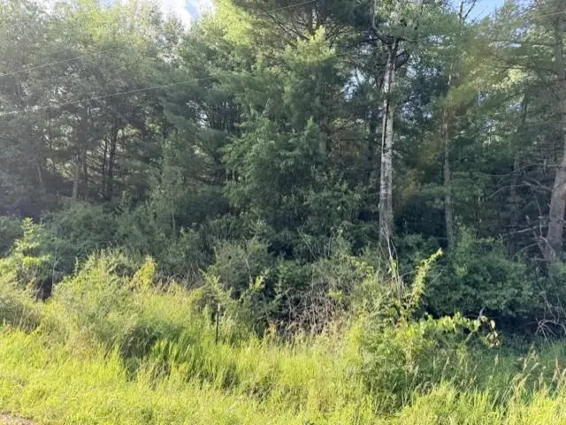 00 Timreck, Tawas City, MI 48763 - #3