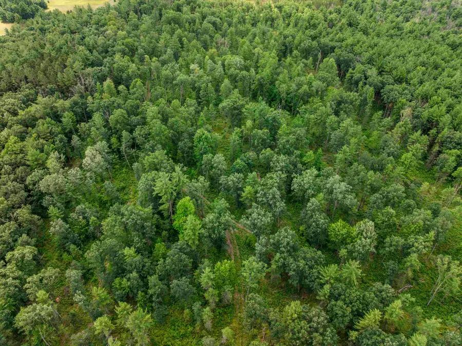 30 Acres W 48 1/2, Wellston, MI 49689 - #2