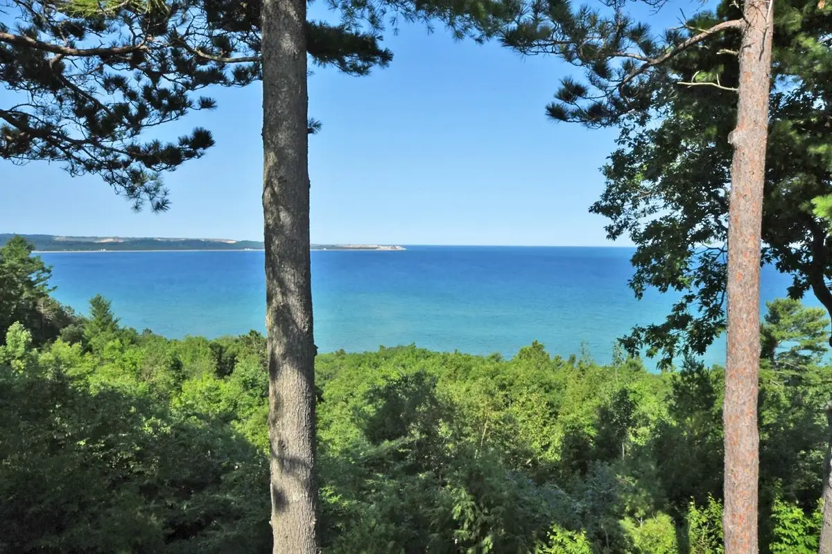 3 Vantage Pointe, Glen Arbor, MI 49636 - #1