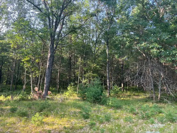 0 Mackenzie, Au Sable, MI 48750