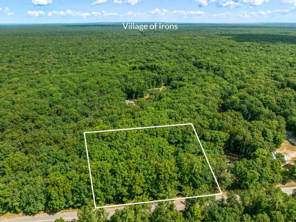 6098 W 9 Mile, Irons, MI 49644