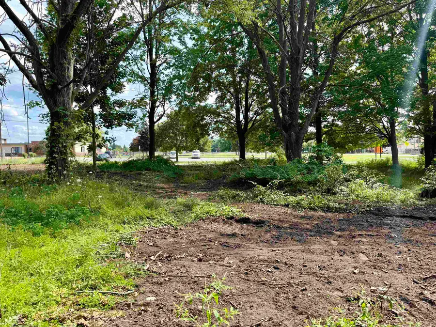 Lot 30 Buckley, Elk Rapids, MI 49629 - #3