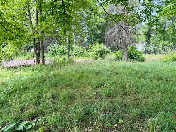 Lot 33 Buckley, Elk Rapids, MI 49629
