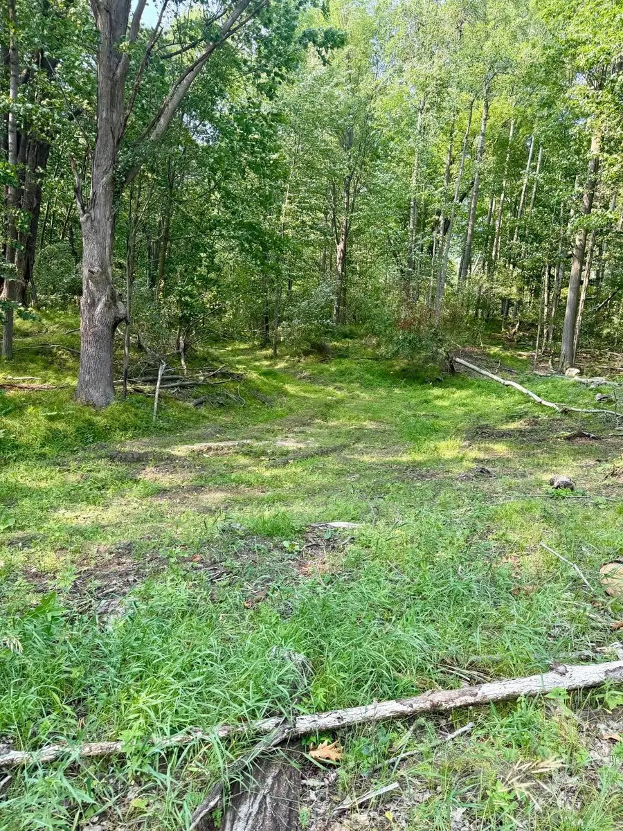 tbd River, Lake Isabella, MI 48893 - #2