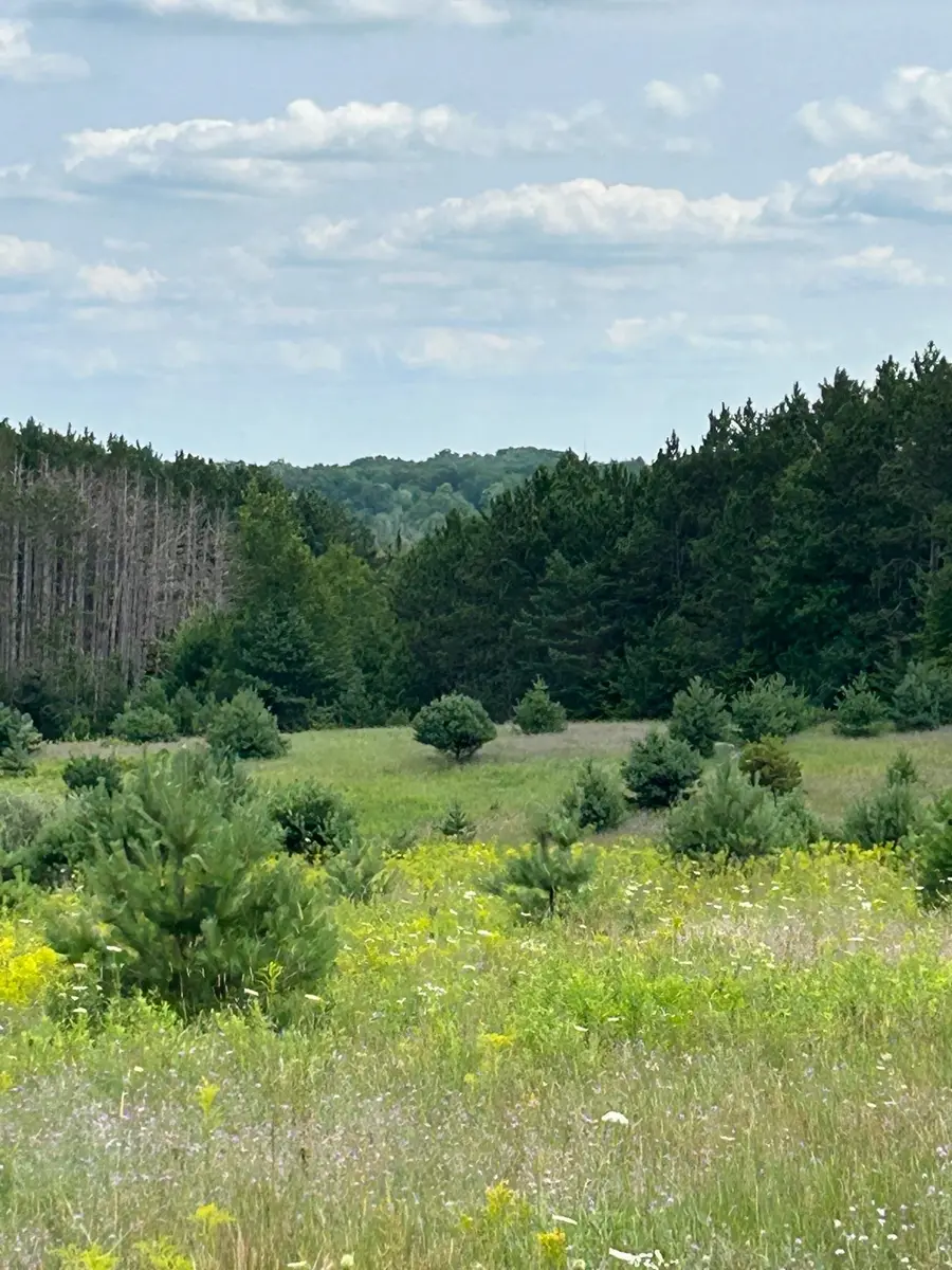 Markenwood, Williamsburg, MI 49690 - #2