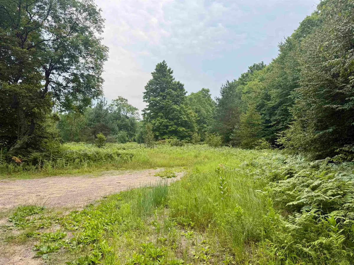 4989 State, Lake Ann, MI 49650 - #1
